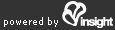 INSIGHT Internet Marketing Company